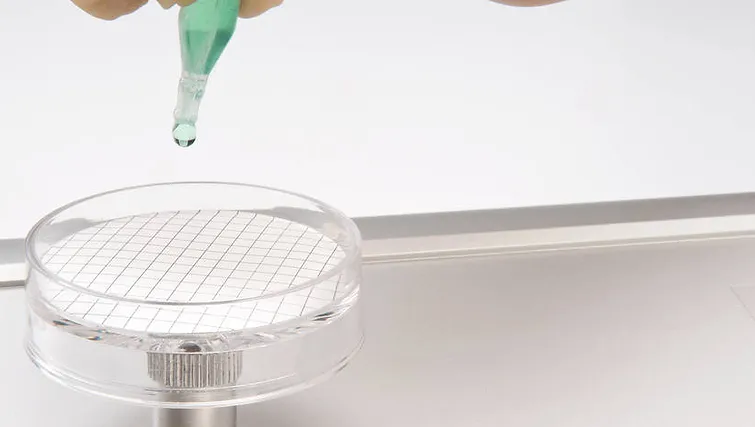Micropore